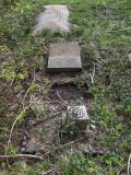 image of grave number 435443